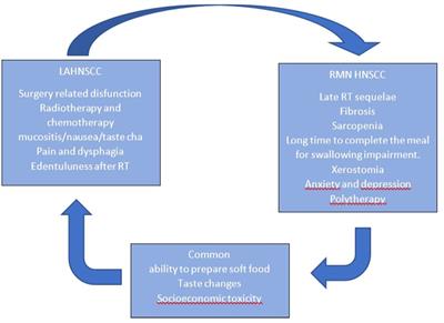 Nutrition in HNSCC: is it a matter for oncologists? The role of multidisciplinary team—a narrative literature review